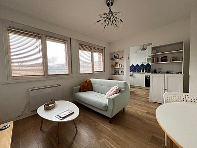 APPARTEMENT T2 A LOUER - LILLE CHU - 34 m2 - 700 &euro; charges comprises par mois