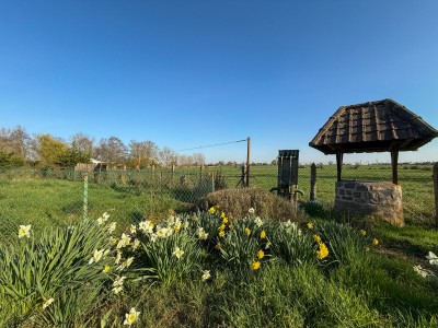 MAISON A VENDRE - BEAUCAMPS LIGNY WEPPES - 160 m2 - 495000€