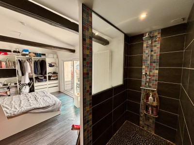 MAISON A VENDRE - HASNON - 179 m2 - 378000€