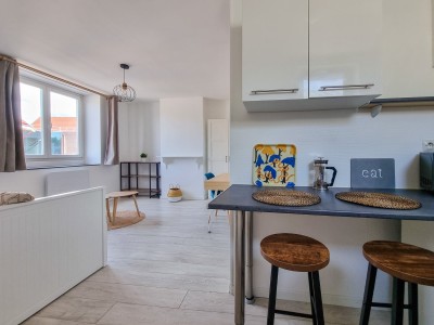 APPARTEMENT T1 A LOUER - LILLE LIMITE RONCHIN - 24 m2 - 560 € charges comprises par mois