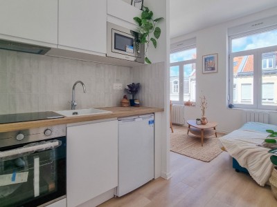 APPARTEMENT T2 - LILLE ISLY - 28.11 m2 - 152000€