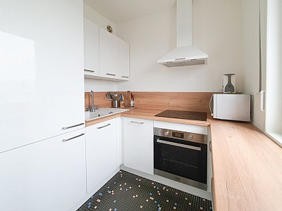 APPARTEMENT T2 A LOUER - LILLE HYPER CENTRE - 39 m2 - 787 &euro; charges comprises par mois