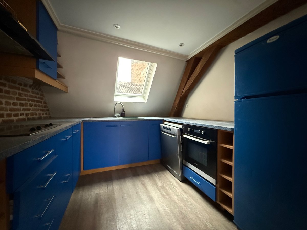 APPARTEMENT T2 A LOUER - LILLE VIEUX LILLE - 55.45 m2 - 890�&euro; charges comprises par mois