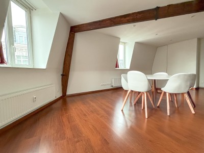 APPARTEMENT T2 - LILLE Sbastopol - 48.52 m2 - VENDU