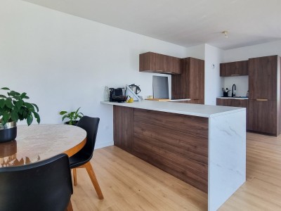 APPARTEMENT T3 - ST ANDRE LEZ LILLE Bord de Deule - 80.67 m2 - VENDU